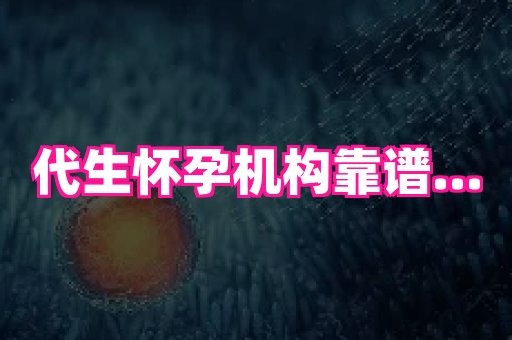 swisee孕网 1