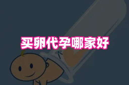 swisee孕网 2