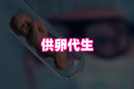 swisee孕网 3