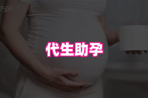 swisee孕网 4